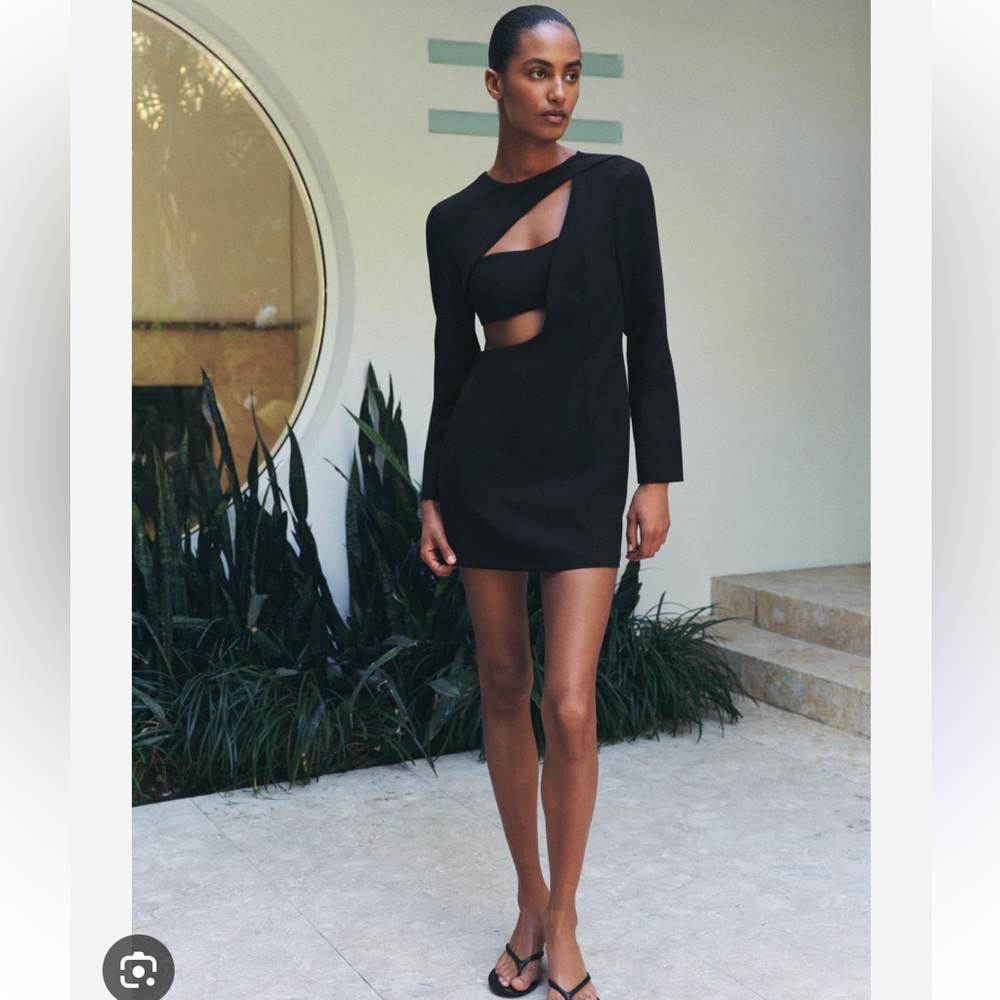 NWT Zara Long sleeve Cutout Black Dress
